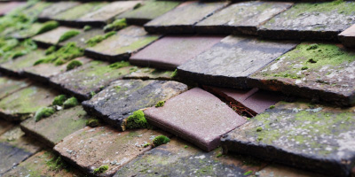 Sylen roof repair costs